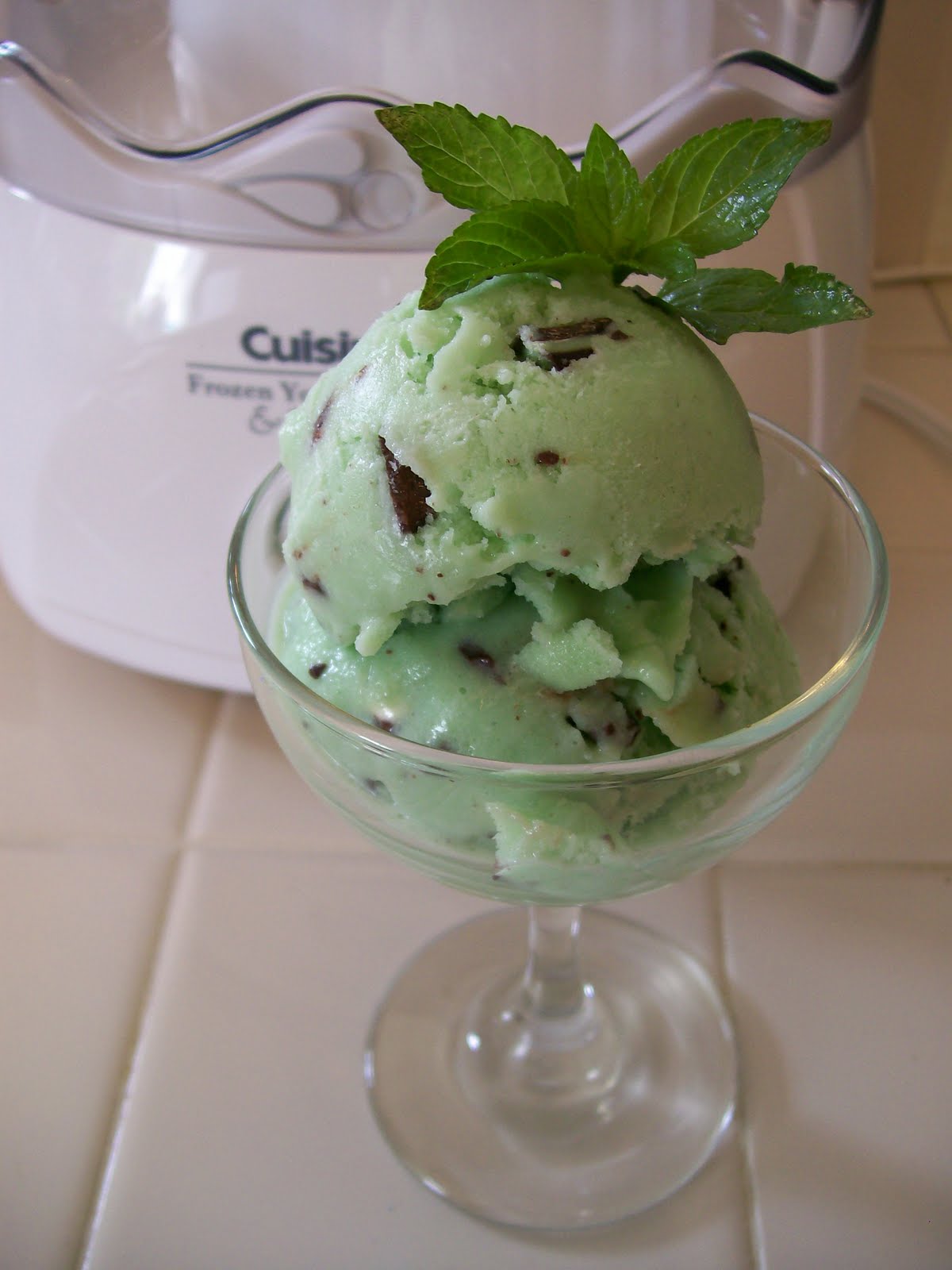 Mint Chocolate Ice Cream Cake