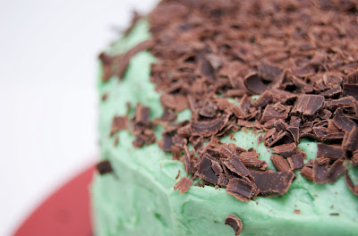 Mint Chocolate Ice Cream Cake Recipe