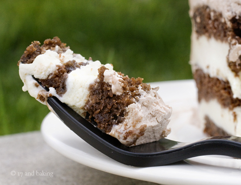 Mint Chocolate Ice Cream Cake Recipe