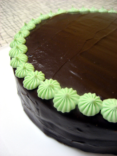 Mint Chocolate Ice Cream Cake Recipe