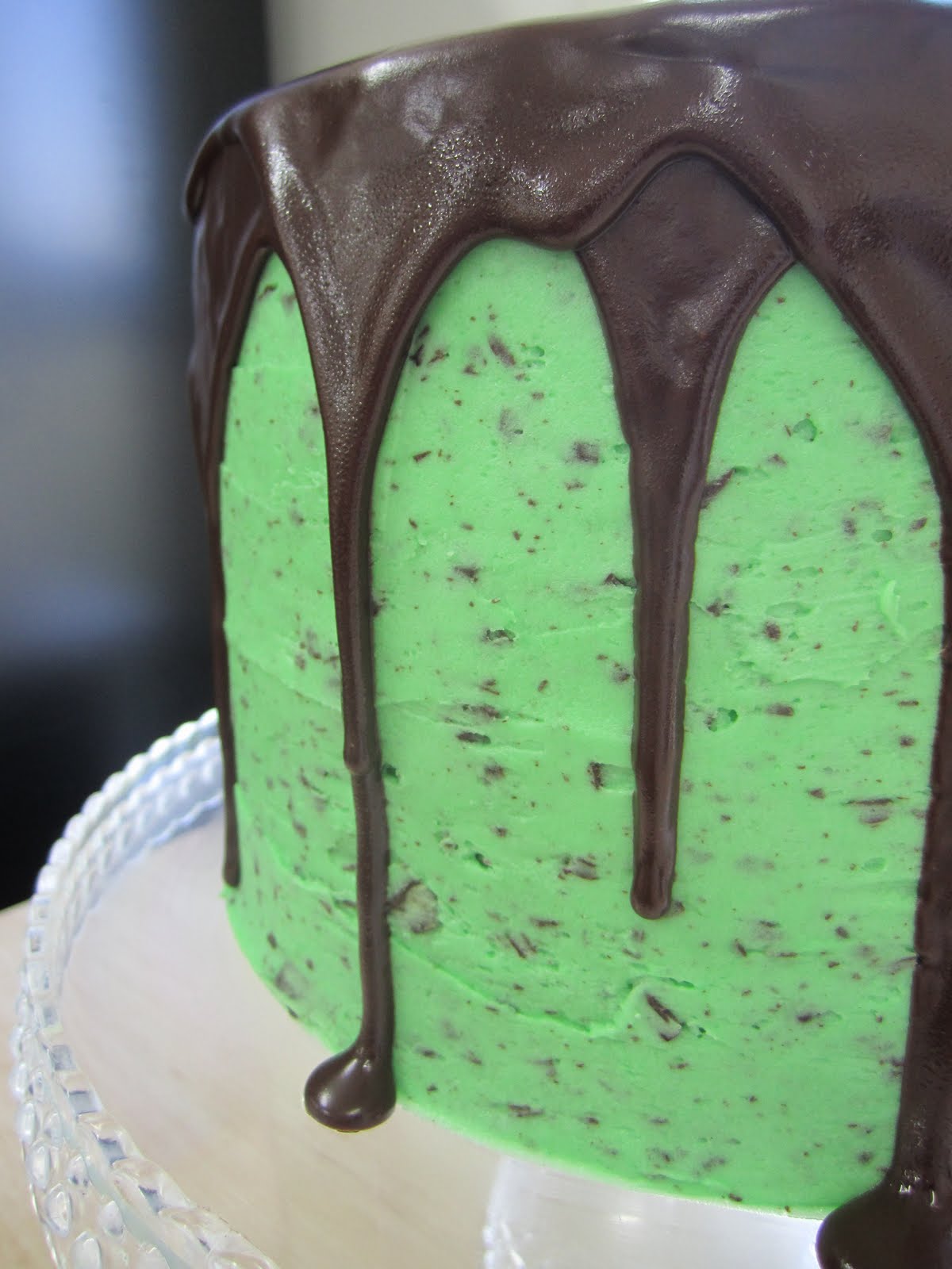 Mint Chocolate Ice Cream Cake Recipe