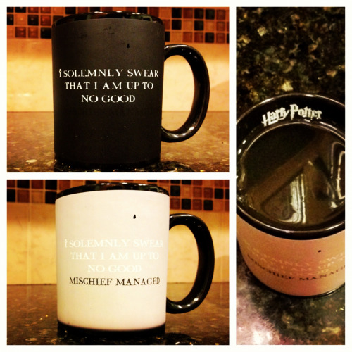 Mischief Managed Mug