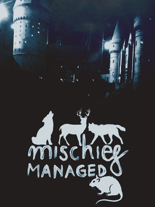 Mischief Managed Tumblr