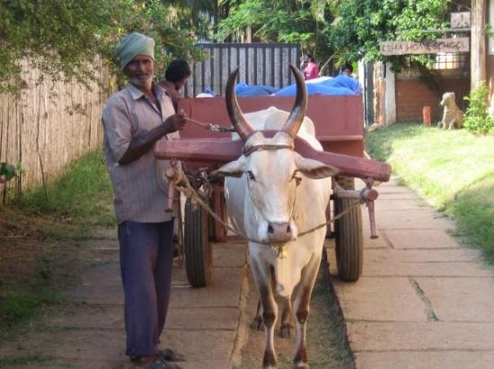 Mode Of Transportation In India