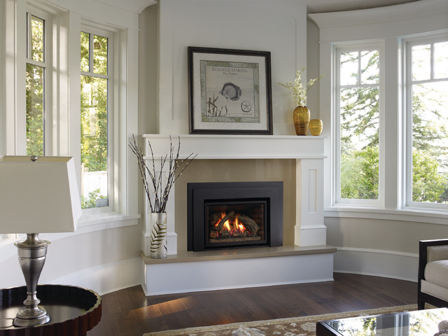 Modern Fireplace Inserts Gas