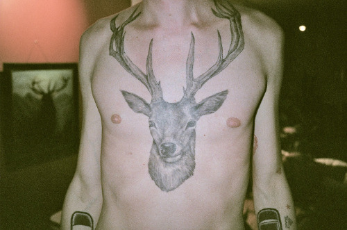 Mounted Deer Head Tattoo