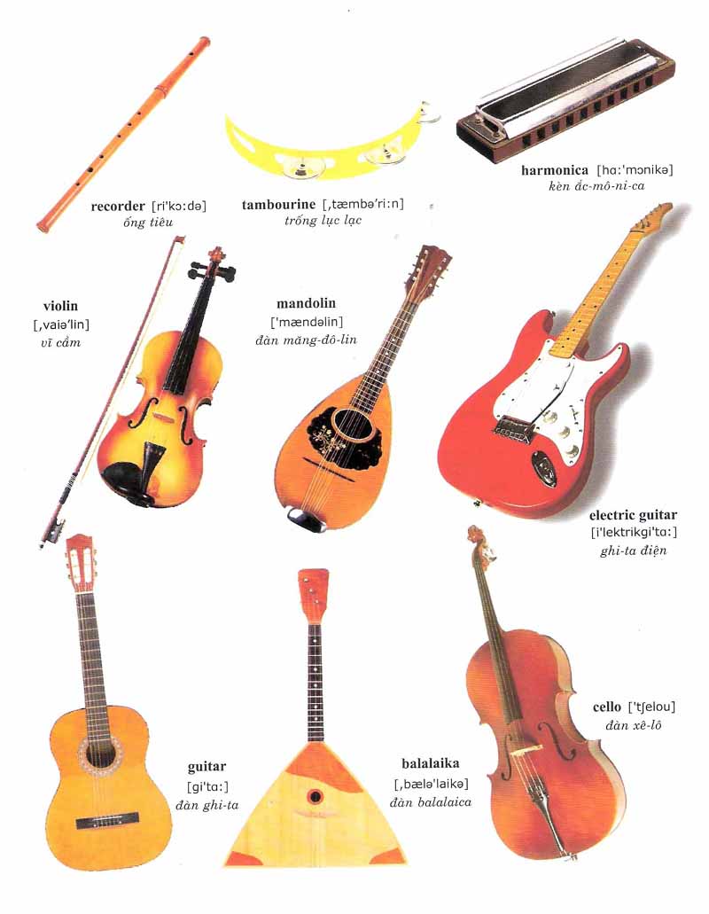 Musical Instruments List With Pictures