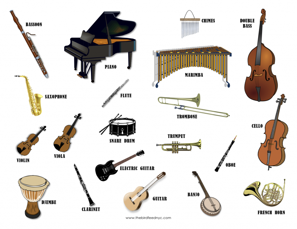 Musical Instruments With Names And Pictures