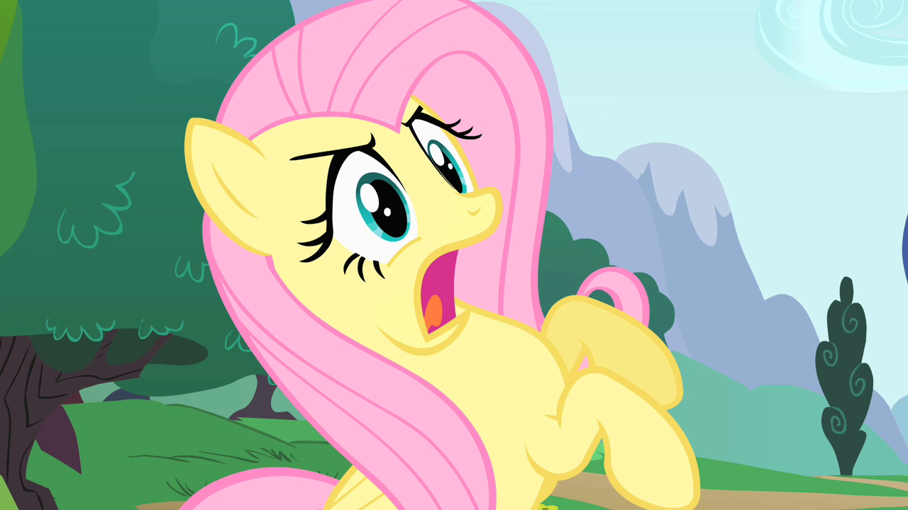 My Little Pony Friendship Is Magic Fluttershy