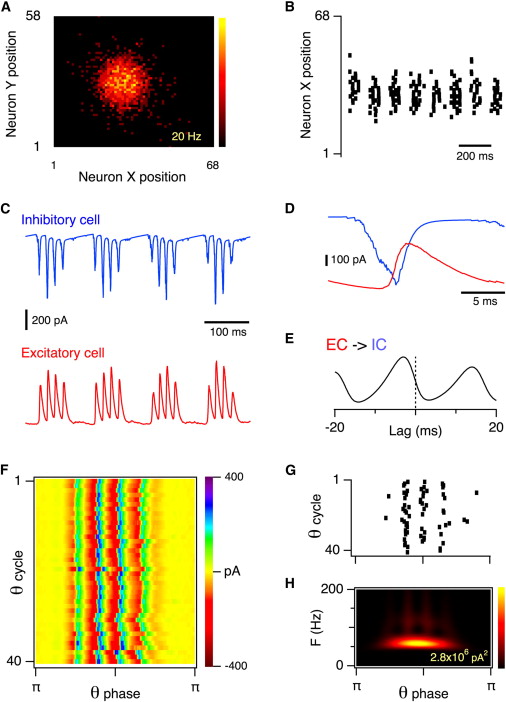 Negative Feedback Inhibition Definition