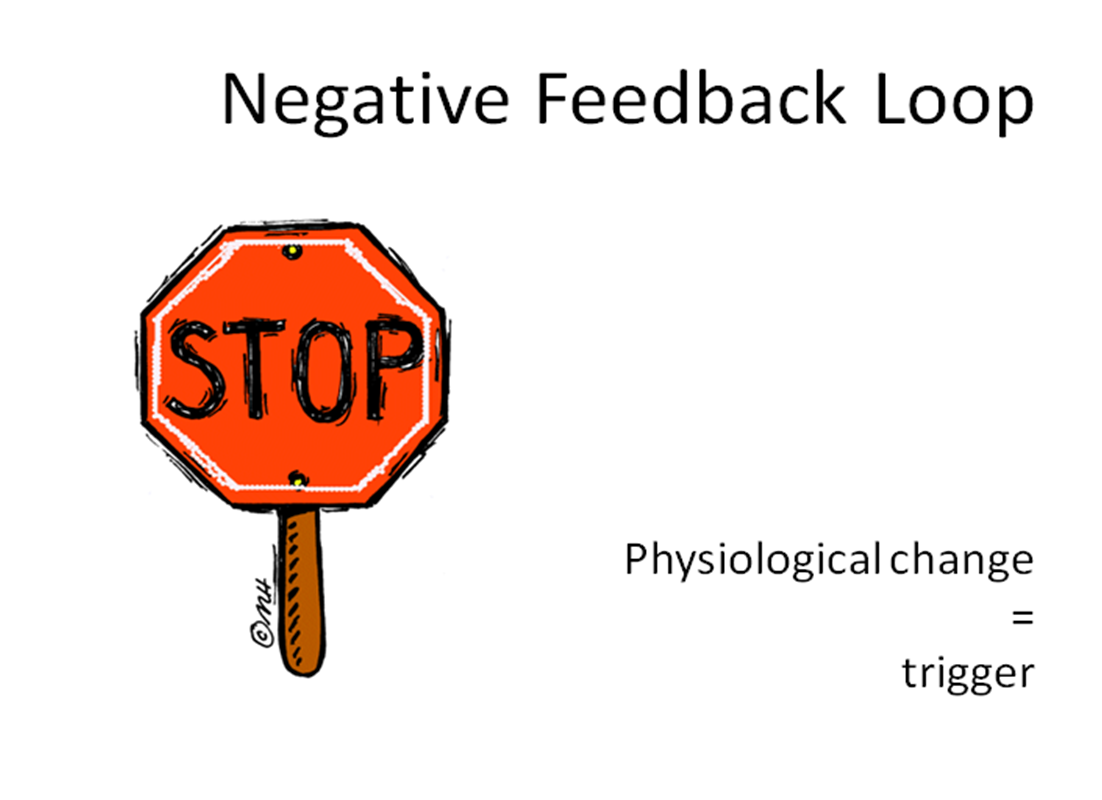 Negative Feedback Inhibition Definition