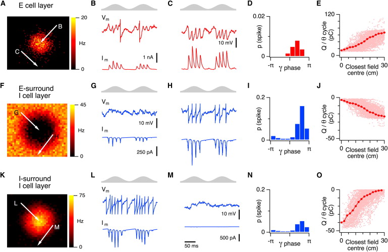 Negative Feedback Inhibition Definition