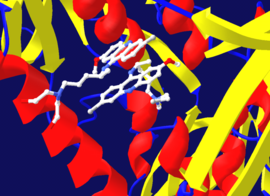 Negative Feedback Inhibition Example