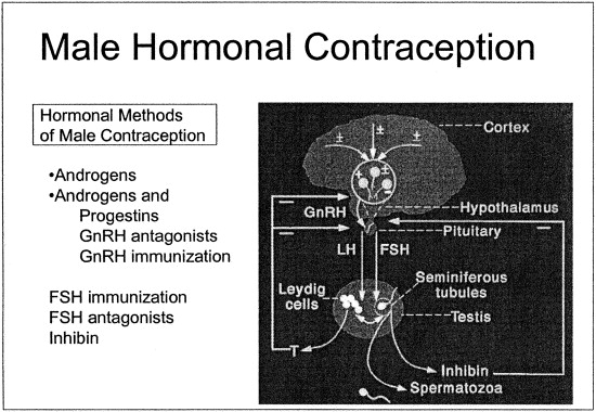 Negative Feedback Inhibition Hormones