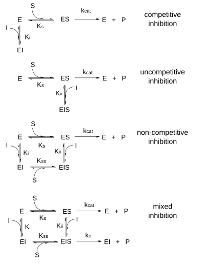 Negative Feedback Inhibition In A Metabolic Pathway