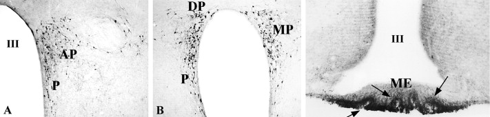 Negative Feedback Inhibition Occurs When Trh