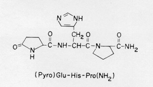 Negative Feedback Inhibition Occurs When Trh