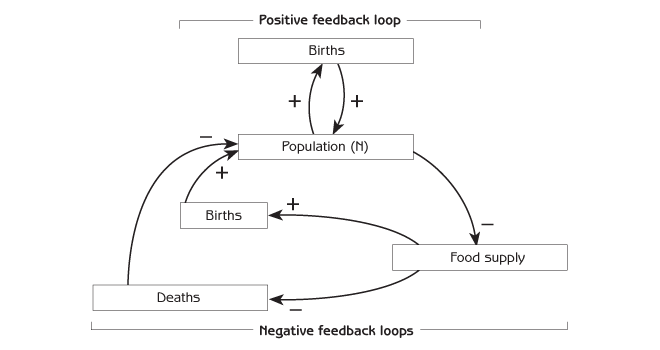 Negative Feedback Loop Biology