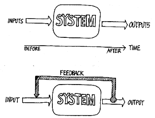 Negative Feedback Loop Biology