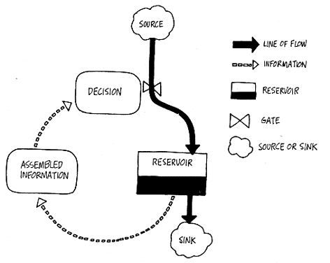 Negative Feedback Loop Biology