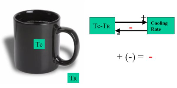 Negative Feedback Loop Biology Example