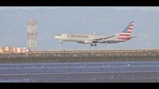 New American Airlines Livery Video