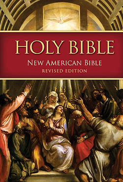 New American Bible Online Audio