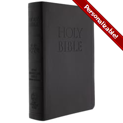 New American Bible Revised Edition Audio