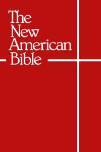 New American Bible Revised Edition Ebook