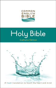 New American Bible Revised Edition Epub