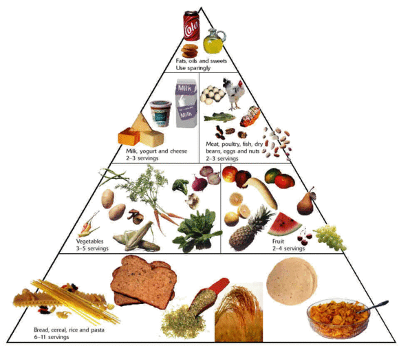 New Food Pyramid Servings Per Day