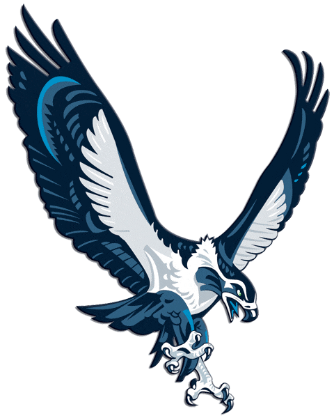 New Seattle Seahawks Logo