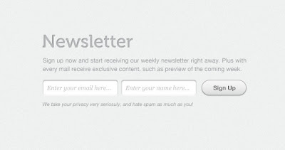 Newsletter Signup Form Template