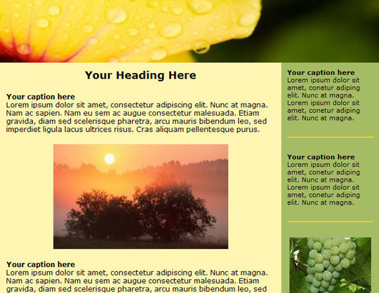 Newsletter Templates For Pages