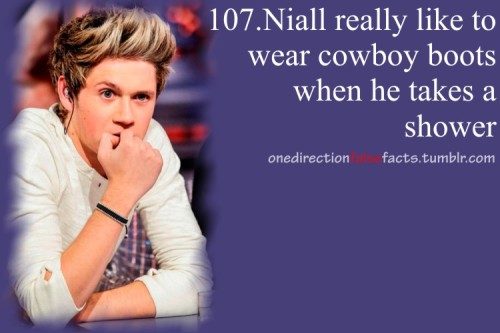 Niall Horan Facts