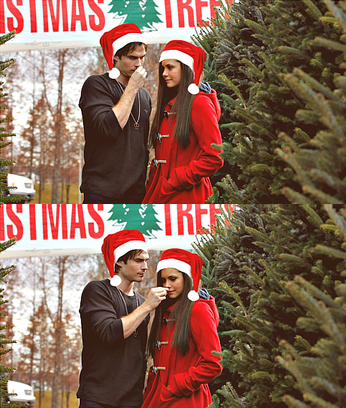 Nian Christmas Tree Shopping