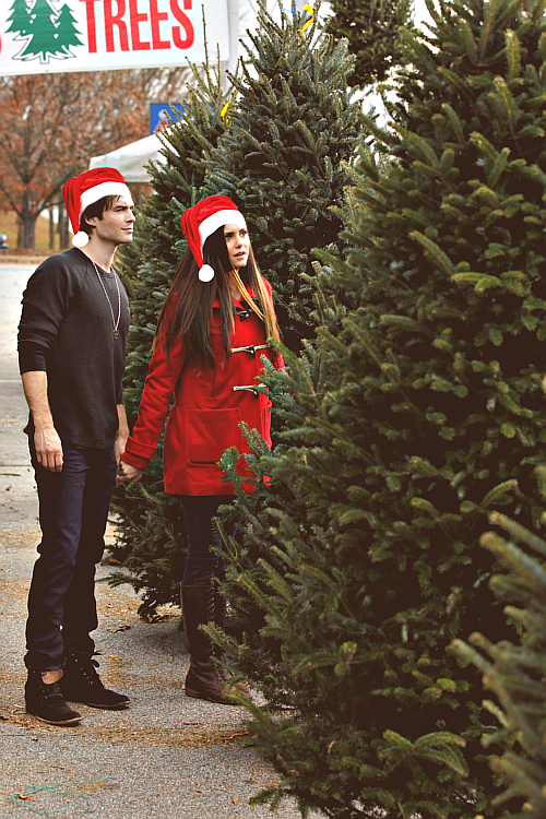 Nian Christmas Tree Shopping