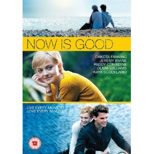 Now Is Good Book