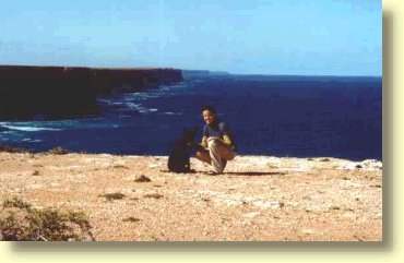 Nullarbor Cliffs In Southern Australia