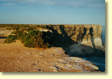 Nullarbor Cliffs In Southern Australia