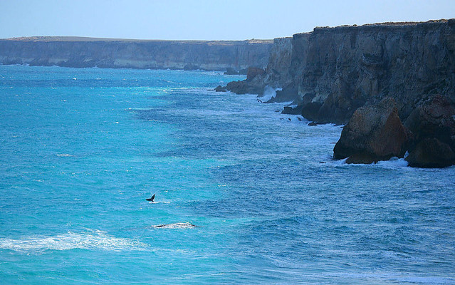 Nullarbor Cliffs Map