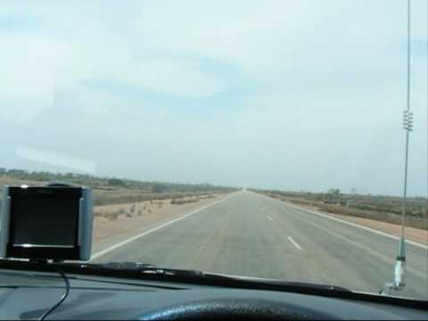 Nullarbor Links Golf Course Border Kangaroo