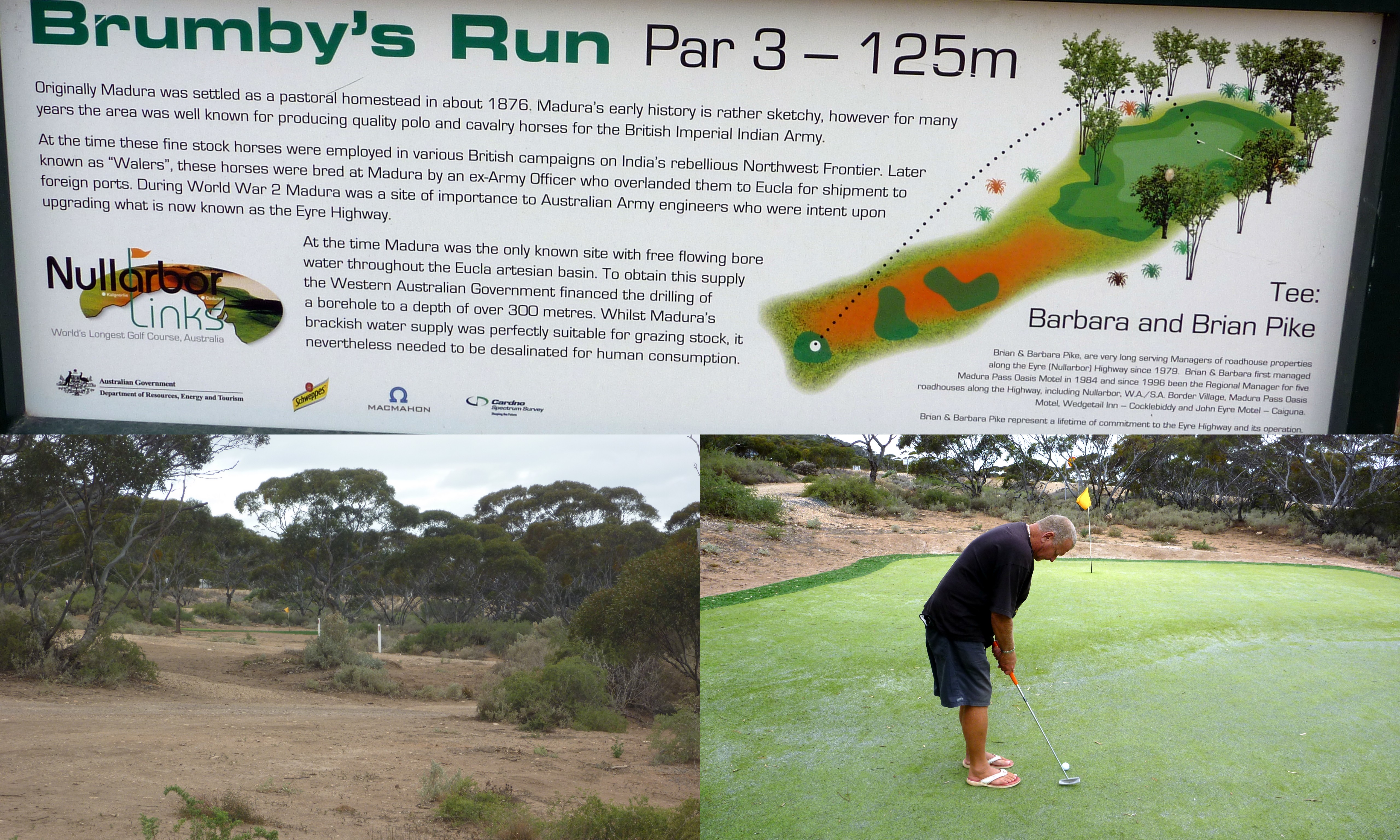 Nullarbor Links Golf Course Border Kangaroo