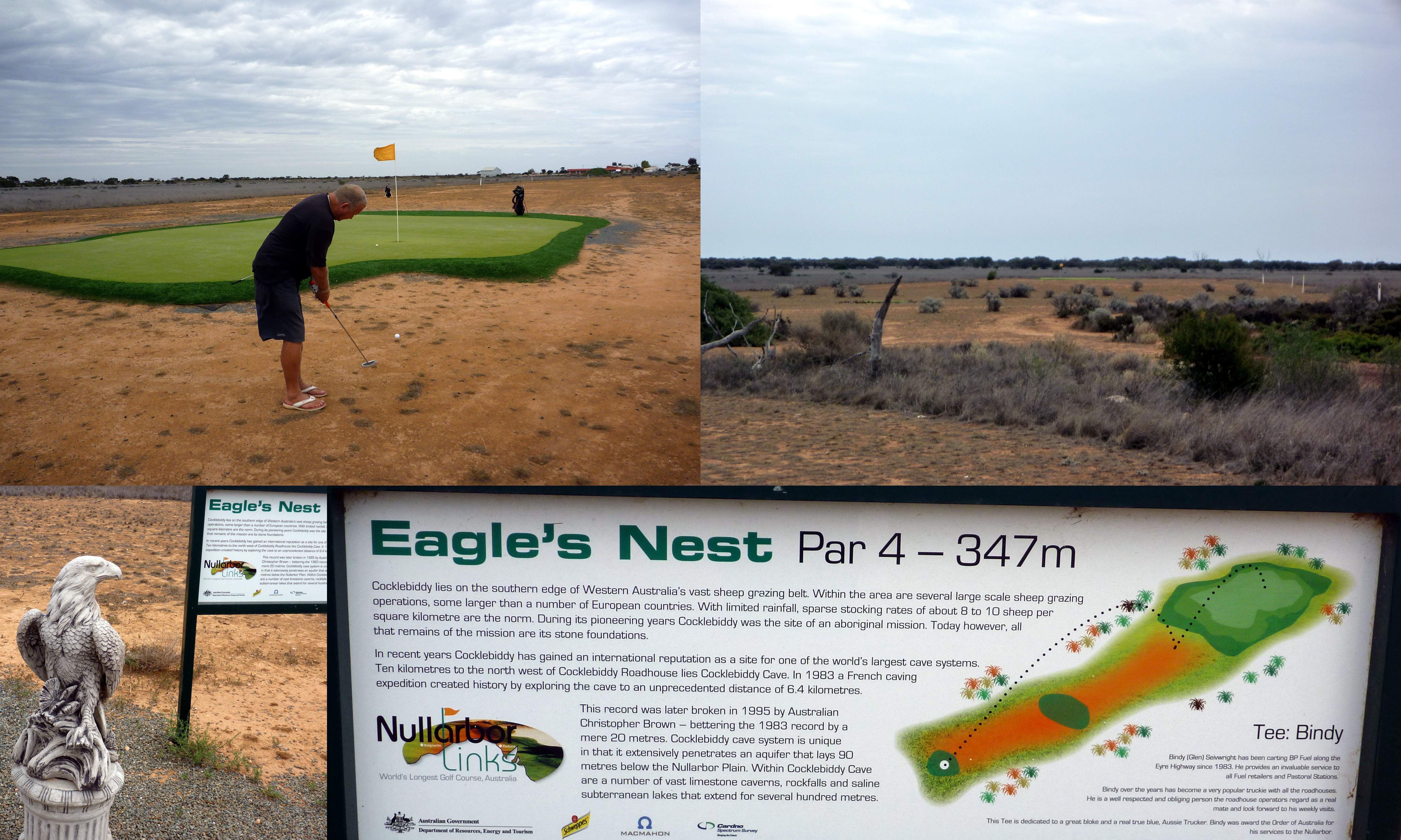 Nullarbor Links Golf Course Border Kangaroo