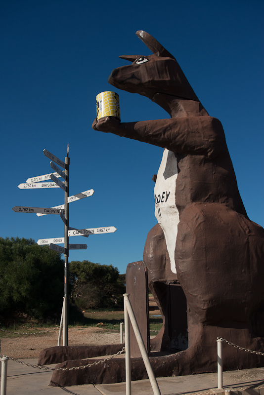 Nullarbor Links Golf Course Border Kangaroo