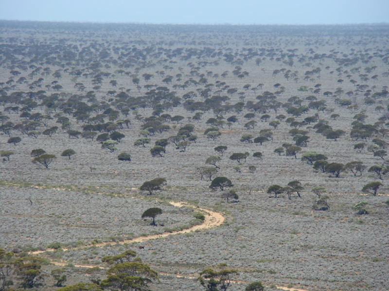 Nullarbor Map