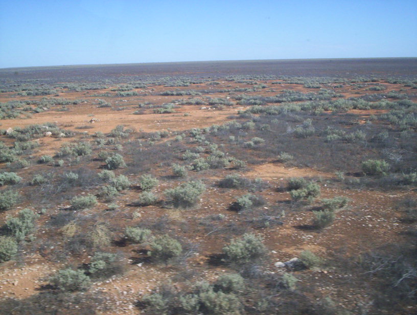 Nullarbor Plain