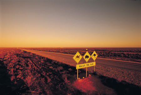 Nullarbor Plain