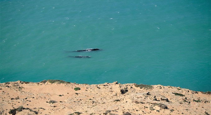 Nullarbor Plain Images