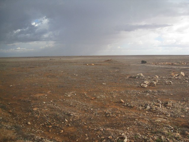 Nullarbor Plain Train